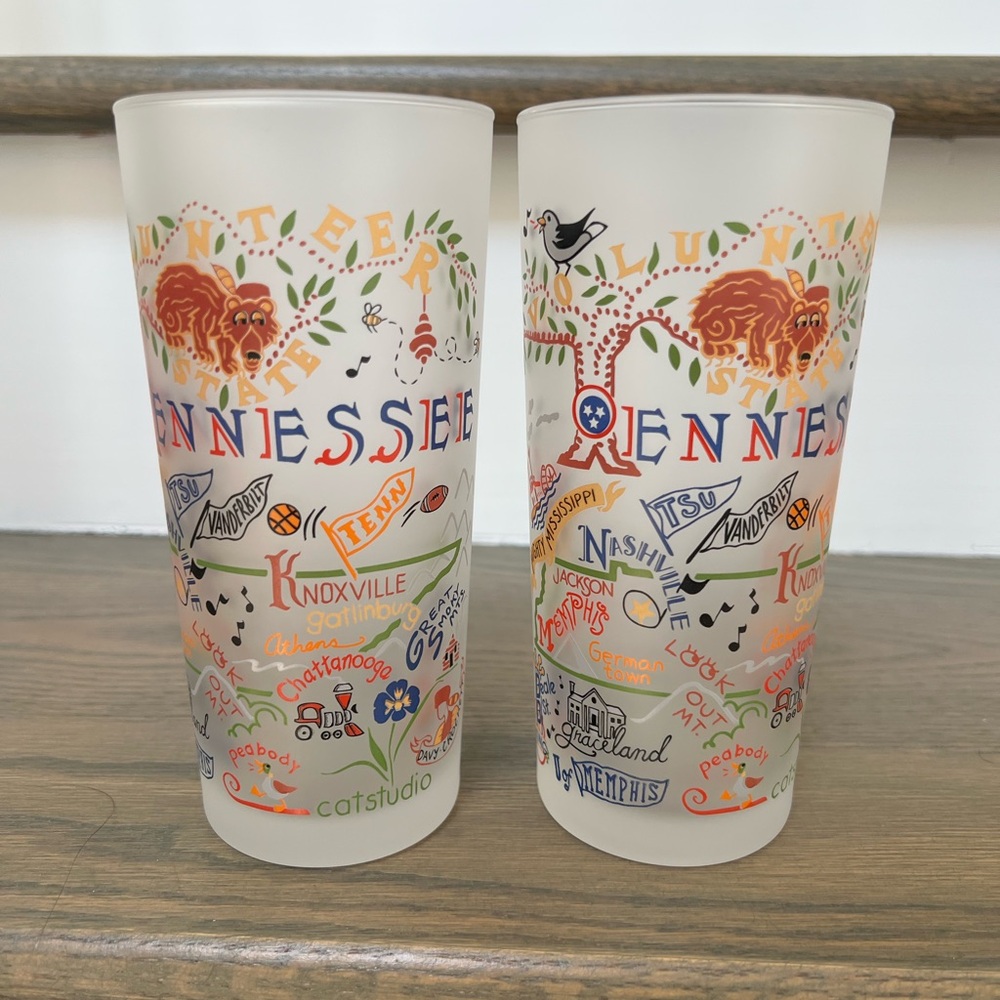set of 2 Frosted Catstudio Souvenir State Tumblers, Tennessee